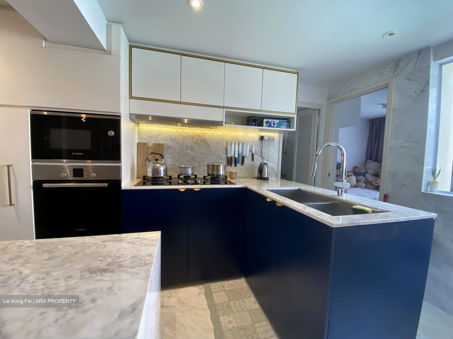 Holland Avenue (Queenstown), HDB Executive #358353531